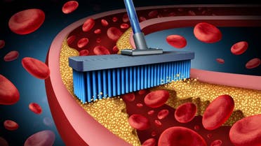 للتخلص من الكوليسترول.. إليكم 7 طرق بسيطة