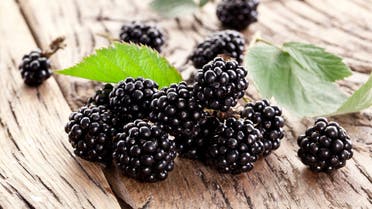 الذهب الأسود… فاكهة سحرية لعلاج الأمراض