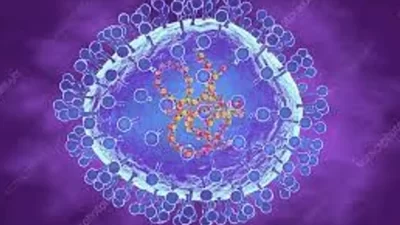 فيروس ميتانمو البشري HMPV يهزّ الصين… فهل يُهدّد العالم؟