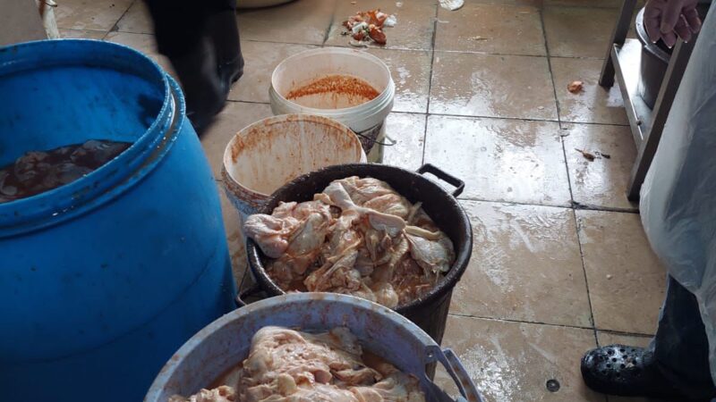 <span dir="ltr">23/01/25 01:41 pm</span>