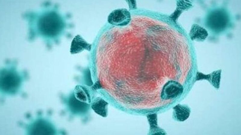 <span dir="ltr">27/01/25 12:05 pm</span>