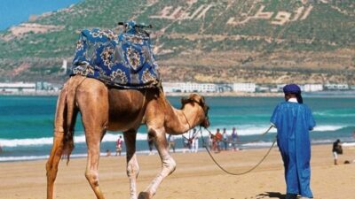 كم بلغت عائدات السياحة بالمغرب في 2024؟