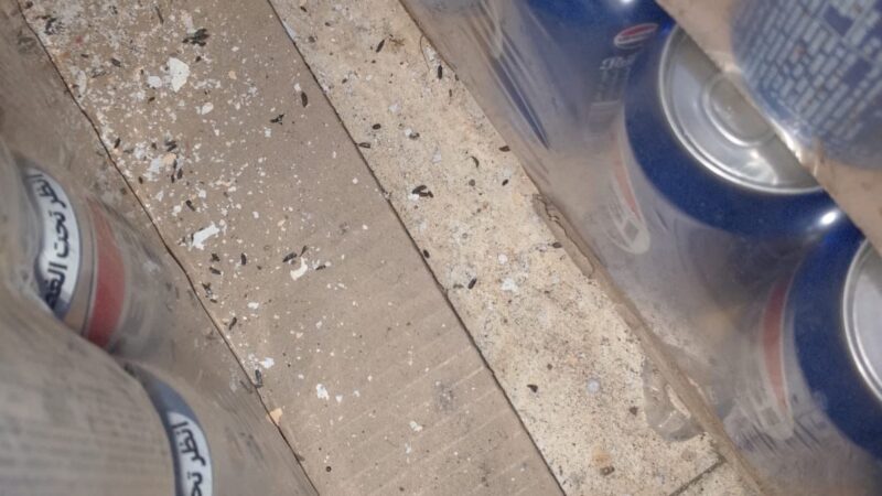 <span dir="ltr">26/02/25 04:01 pm</span>