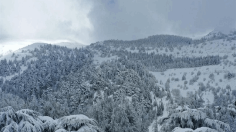 <span dir="ltr">07/02/25 09:15 am</span>