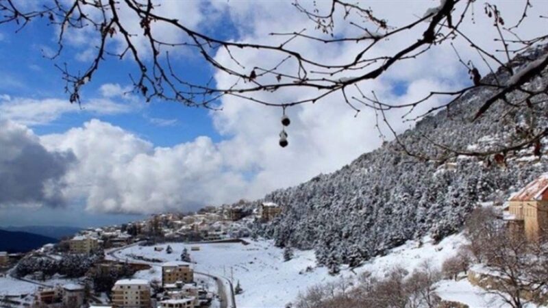 <span dir="ltr">27/02/25 12:02 pm</span>