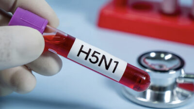 H5N1″… سلالة جديدة من إنفلونزا الطيور