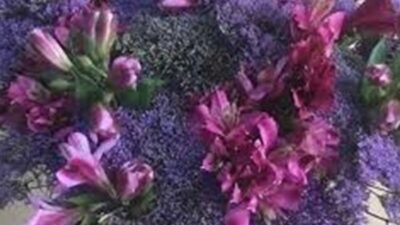 باقات زهور قاتلة في فرنسا.. ما القصة؟