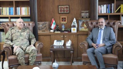 استقبالات قائد الجيش بالنيابة