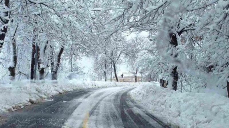 <span dir="ltr">21/02/25 08:41 am</span>