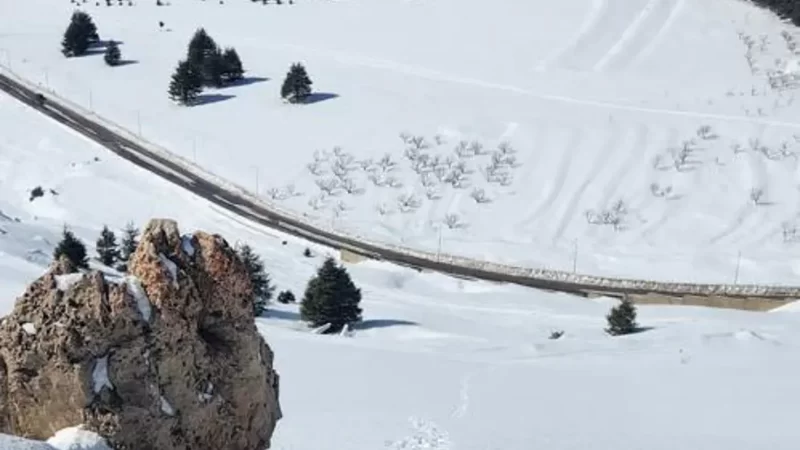 <span dir="ltr">27/02/25 08:39 pm</span>