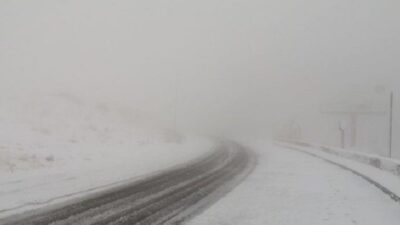 الزائر الأبيض يكلل مرتفعات الضنية والجليد يغطي الطرقات