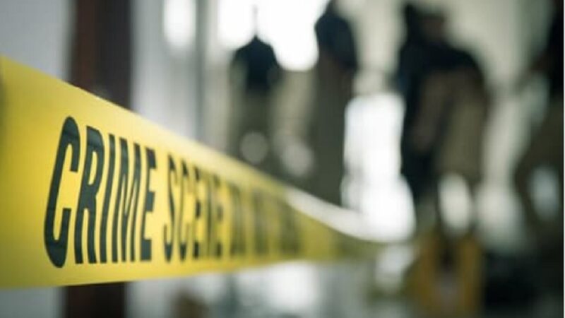 <span dir="ltr">02/02/25 11:02 am</span>