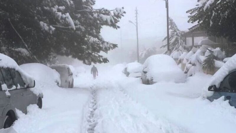 <span dir="ltr">19/02/25 09:39 am</span>