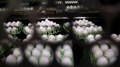 تركيا تساعد أميركا في أزمة البيض