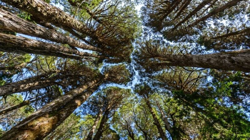 <span dir="ltr">13/02/25 09:34 am</span>