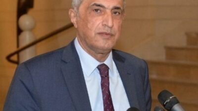 هاشم: أي دور تقوم به لجنة الإشراف لوضع حد للعدوانية الإسرائيلية؟