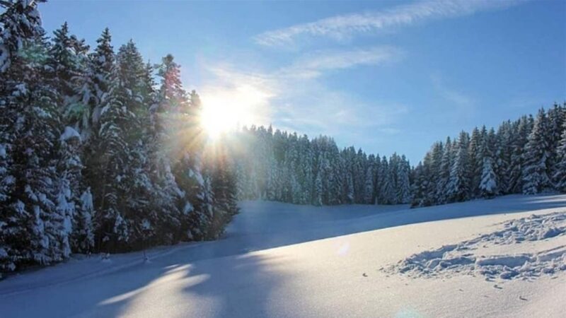 <span dir="ltr">03/03/25 09:04 am</span>