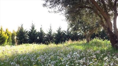 مرتفع جوي يؤثر على لبنان… والحرارة تتخطى عتبة الـ٣٠ درجة يوم الجمعة!