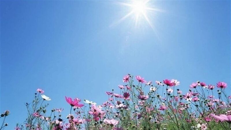 <span dir="ltr">25/03/25 09:45 am</span>