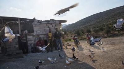 إجهاض “التهجير” و”السلام” مع اسرائيل.. رهن الموقف العربي وإيران