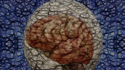 إليكم بعض العادات اليومية التي تُحسّن صحة الدماغ