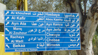 محاولة خطف طفلين في قضاء حاصبيا