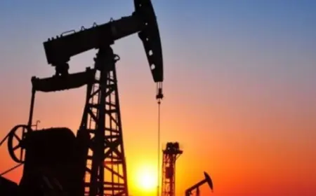 <span dir="ltr">19/03/25 08:45 am</span>