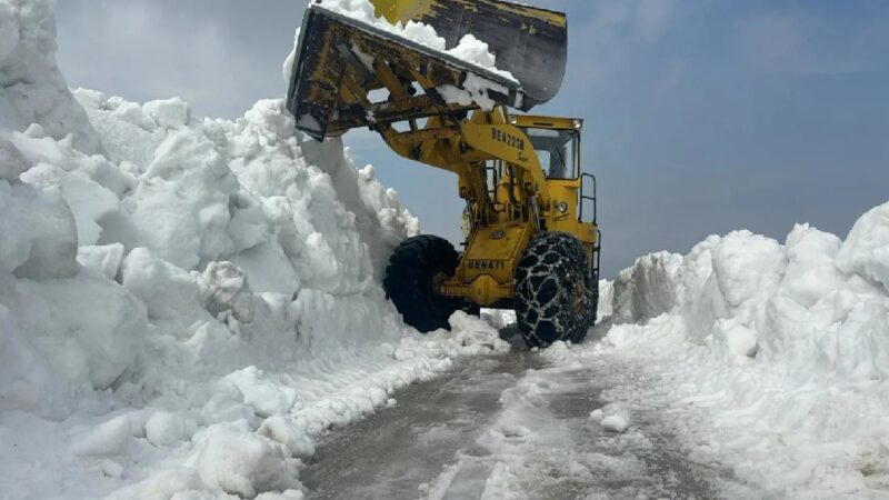 <span dir="ltr">29/03/25 08:03 am</span>