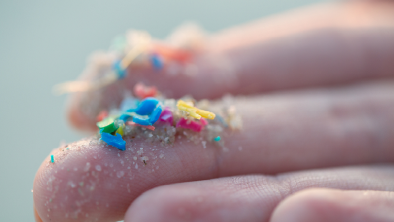 <span dir="ltr">20/04/25 09:11 am</span>