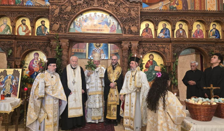 <span dir="ltr">21/04/25 09:29 am</span>