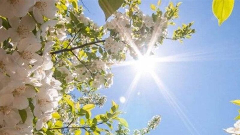 <span dir="ltr">19/04/25 09:06 am</span>