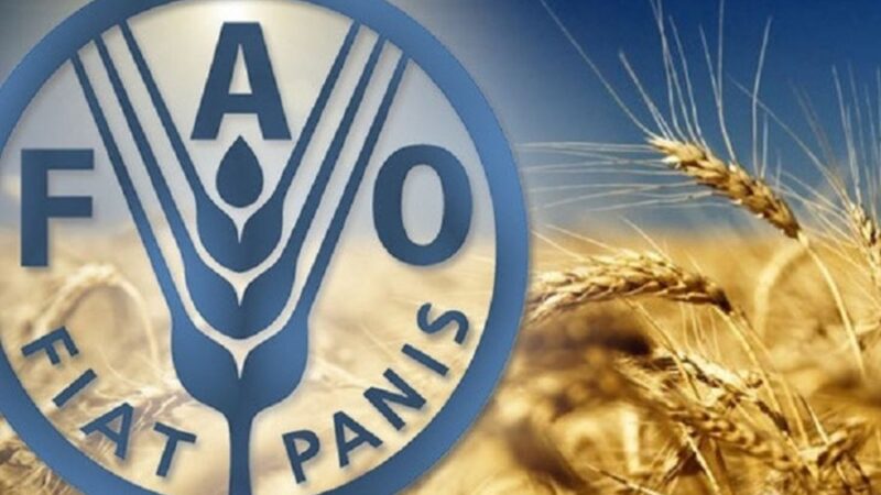 <span dir="ltr">11/04/25 05:57 pm</span>