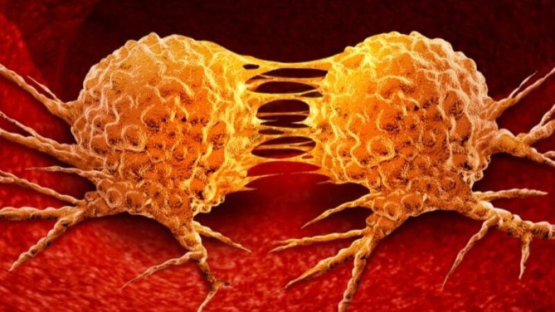 <span dir="ltr">23/04/25 06:20 pm</span>