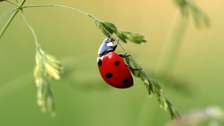 <span dir="ltr">17/04/25 09:17 am</span>