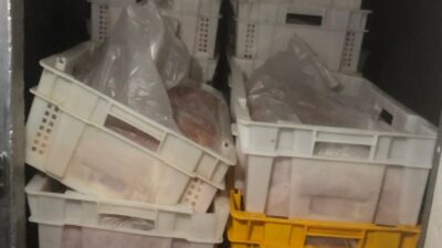 ضبط أطنان من الدجاج المهرّب