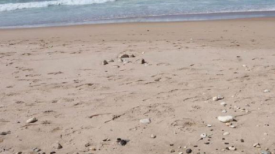 استرداد مراسيم الأملاك البحرية