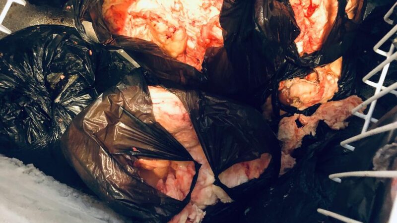 <span dir="ltr">29/04/25 06:20 pm</span>