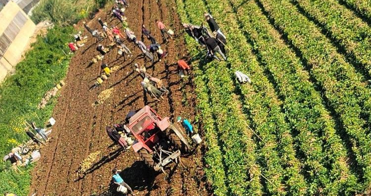 <span dir="ltr">21/04/25 09:27 am</span>