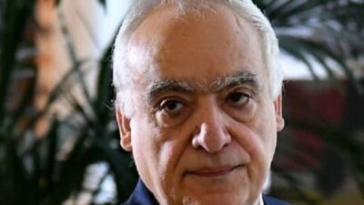 سفيرة النمسا: نظرة سلامة لتفعيل المشاريع الثقافية صائبة