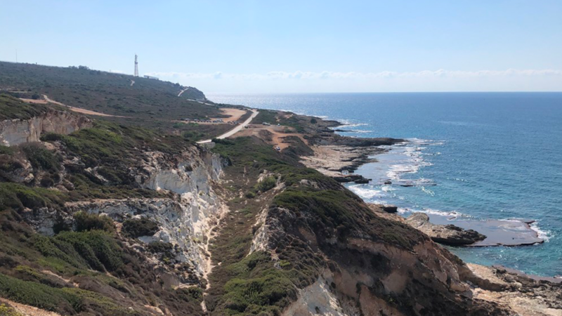 <span dir="ltr">03/04/25 10:45 am</span>