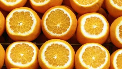 اكتشاف السبب التطوري لعدم قدرة جسم الإنسان على تصنيع فيتامين C