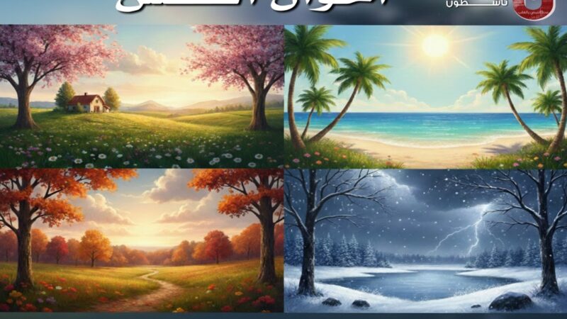 <span dir="ltr">14/02/26 10:27 am</span>