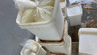 ضبط كمية من الأجبان الفاسدة